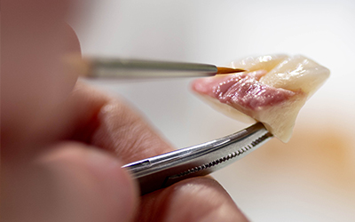 K2 MyStains & Structure